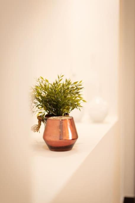 Mc Apartment San Giovanni Rome Bagian luar foto